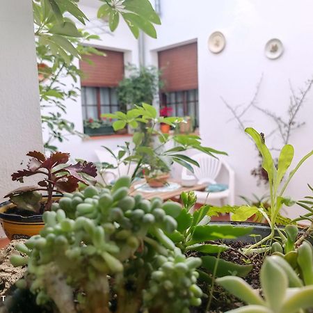 Vyve Grazalema At Hotel Bagian luar foto